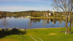Frymburk