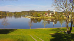 Frymburk