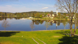 Frymburk