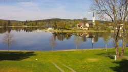 Frymburk