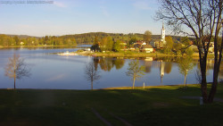 Frymburk