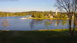 Frymburk