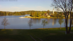 Frymburk