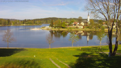 Frymburk