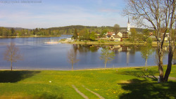 Frymburk