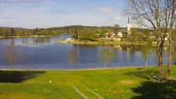 Frymburk