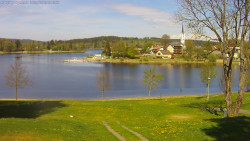 Frymburk