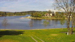 Frymburk