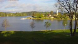 Frymburk