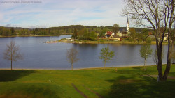 Frymburk