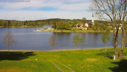 Frymburk