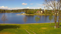 Frymburk