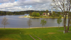 Frymburk