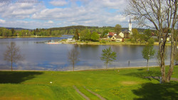 Frymburk
