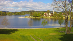 Frymburk
