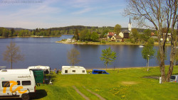 Frymburk