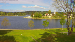 Frymburk