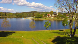 Frymburk