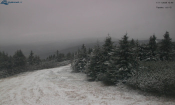 Snímek 17.11.2025 v 12:03