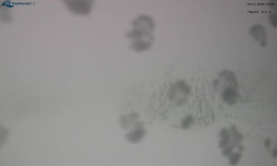 Lysá hora, pohled na západ