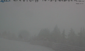 Snímek 19.11.2025 v 15:45