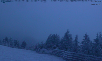 Snímek 19.11.2025 v 16:45