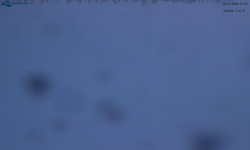 Lysá hora, pohled na východ