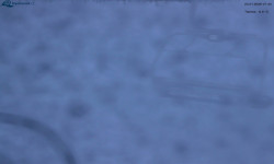 Lysá hora, pohled na východ