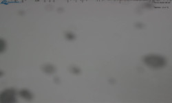 Lysá hora, pohled na východ