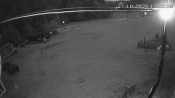Snímek    27.10.2025 v 17:00