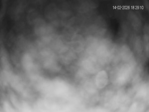 Rekreační středisko Trnava u Zlína - Nástup na vlek - 14.2.2026 v 18:30 Rekreační středisko Trnava u Zlína - Nástup na vlek - 14.2.2026 v 18:30