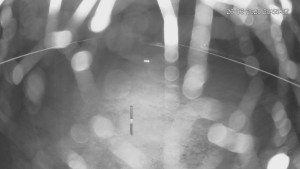 Rekreační středisko Trnava u Zlína - Hlavní sjezdovka - 26.6.2025 v 22:00 Rekreační středisko Trnava u Zlína - Hlavní sjezdovka - 26.6.2025 v 22:00