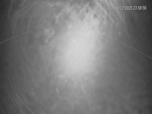 Rekreační středisko Trnava u Zlína - Hlavní sjezdovka - 11.12.2025 v 00:00 Rekreační středisko Trnava u Zlína - Hlavní sjezdovka - 11.12.2025 v 00:00