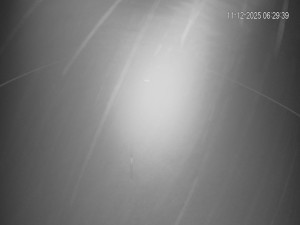 Rekreační středisko Trnava u Zlína - Hlavní sjezdovka - 11.12.2025 v 06:30 Rekreační středisko Trnava u Zlína - Hlavní sjezdovka - 11.12.2025 v 06:30