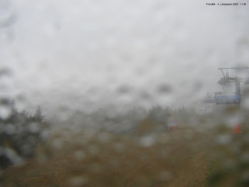 Snímek    3.11.2025 v 11:45