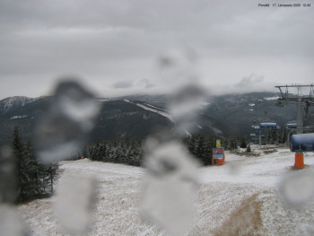 Snímek 17.11.2025 v 12:45