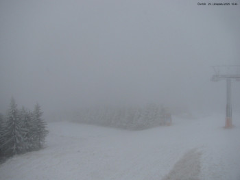 Snímek 20.11.2025 v 10:45