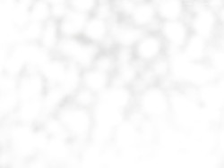 Svatý Petr, Pláně