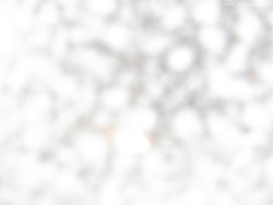 Svatý Petr, Pláně