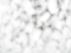 Svatý Petr, Pláně