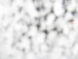 Svatý Petr, Pláně