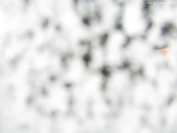 Svatý Petr, Pláně