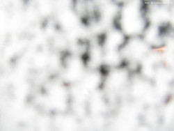 Svatý Petr, Pláně