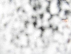 Svatý Petr, Pláně