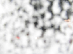 Svatý Petr, Pláně