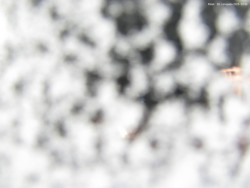 Svatý Petr, Pláně