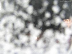 Svatý Petr, Pláně