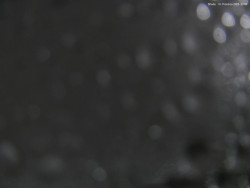 Svatý Petr, Pláně