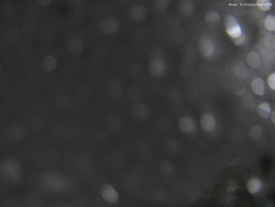 Svatý Petr, Pláně