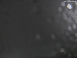 Svatý Petr, Pláně